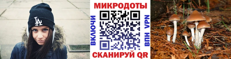 Псилоцибиновые грибы Magic Shrooms  где купить наркоту  Лесной 